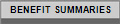 BENEFIT SUMMARIES
