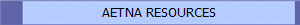 AETNA RESOURCES